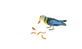 Frida parrot.jpg